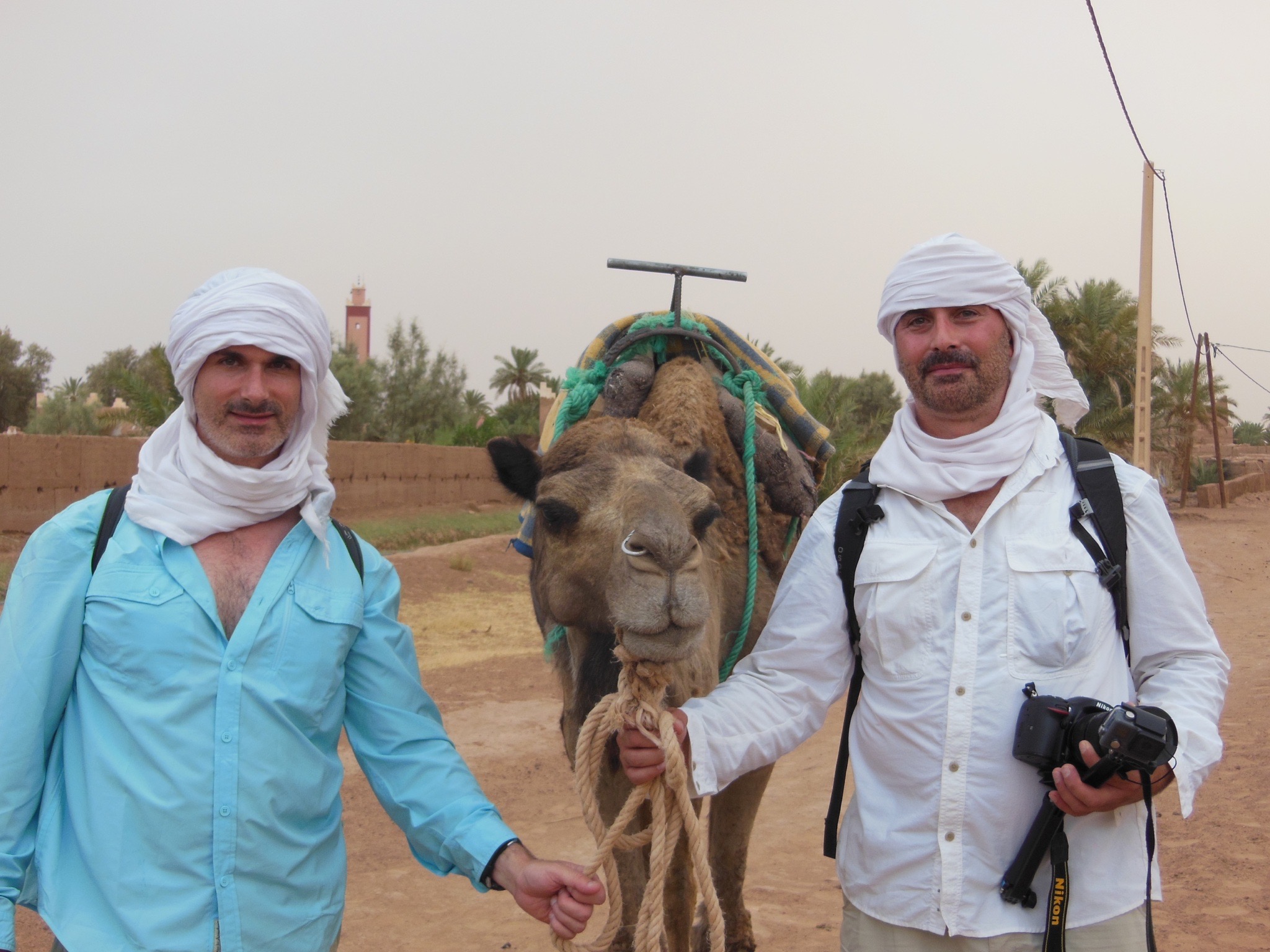 How to a Cultural Savant TripCast360